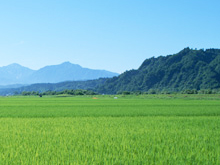 ［画像］農耕地イメージ